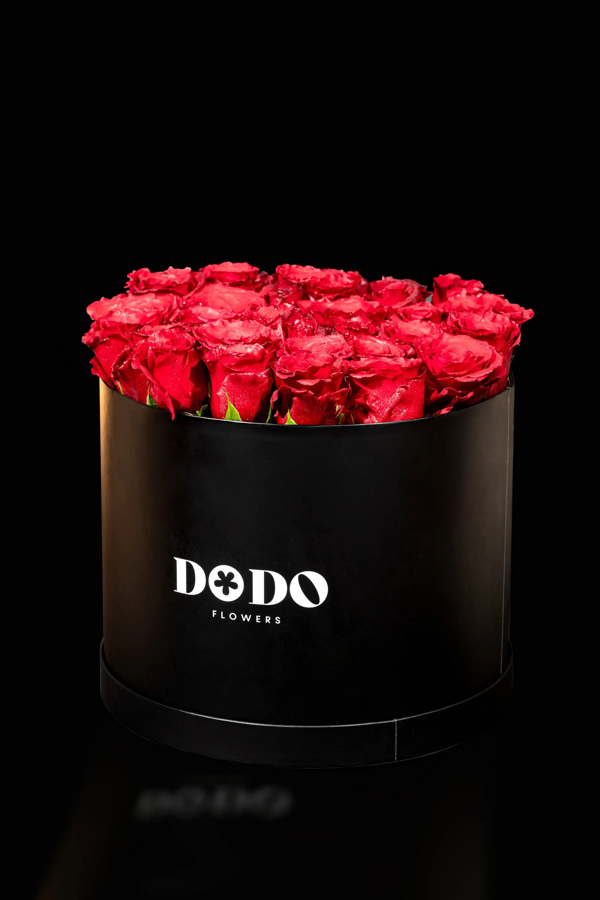 DODO BOX (RED ROSE)
