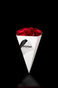 Dodo Cone