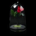 Single Red Forever Rose